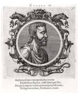 Celsus by French School